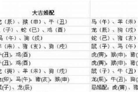 1997年 生肖|97年属什么 97年属什么的生肖配对